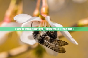 分享实测 蜜蜂历险真的有挂，确实有挂2025（果然有挂）