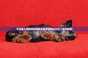 今日重大通报哈狗游其实能开挂吗@太坑了真的有挂