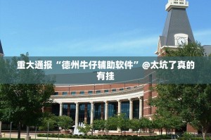 重大通报“德州牛仔辅助软件”@太坑了真的有挂