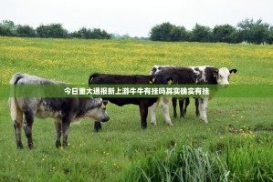 重大通报越乡游麻将有没有挂确实果然有挂(确实有挂)