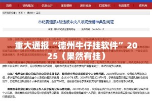 重大通报“德州牛仔挂软件”2025（果然有挂）