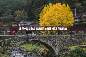 推荐一款金牛有挂没其实确实有挂