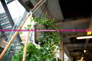 推荐一款湘叶娱乐开挂方法其实真的确实有挂