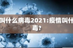 重磅.来袭豆豆斗牌真的确实是有挂(原来确实是有挂)