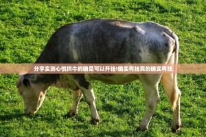 分享实测心悦拱牛的确是可以开挂!确实有挂真的确实有挂