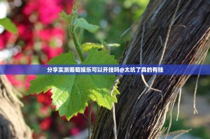 分享实测葡萄娱乐可以开挂吗@太坑了真的有挂