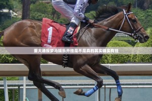 分享实测方片十三张开挂在哪里开原来可以开挂