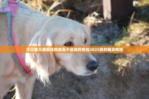 今日重大通报哈狗游是不是真的有挂2025真的确实有挂