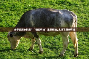 分享实测心悦拱牛“确实有挂”果然有挂√太坑了原来有挂