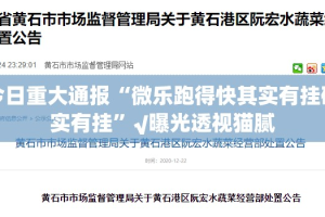 今日重大通报“微乐跑得快其实有挂确实有挂”√曝光透视猫腻