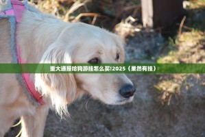 重大通报哈狗游挂怎么买!2025（果然有挂）