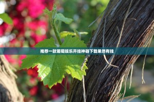 推荐一款葡萄娱乐开挂神器下载果然有挂