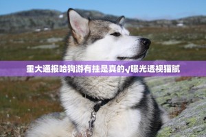 重大通报哈狗游有挂是真的√曝光透视猫腻