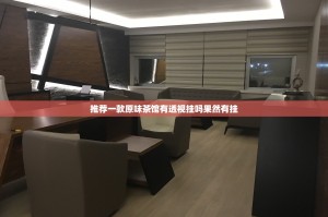 推荐一款原味茶馆有透视挂吗果然有挂