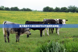 重大通报八戒金花真的确实有挂√太坑了原来有挂