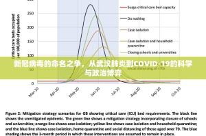 推荐一款66徐州麻将怎样开挂√曝光透视猫腻