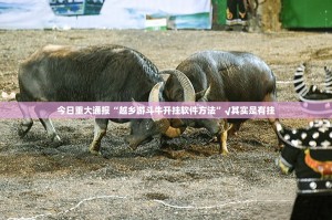 今日重大通报“越乡游斗牛开挂软件方法”√其实是有挂