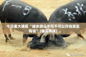 重磅.来袭万顺真的有挂，确实有挂原来可以开挂