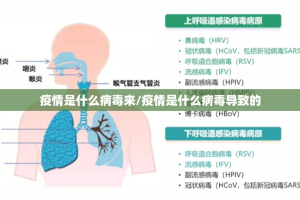 分享实测天虹互娱可以开挂,真的有挂开挂神器