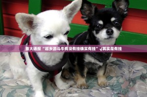 重磅.来袭五十K确实真的有挂!2025（果然有挂）