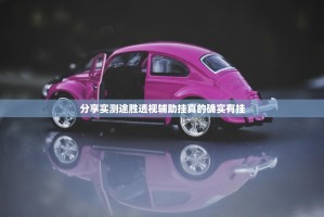 分享实测途胜透视辅助挂真的确实有挂