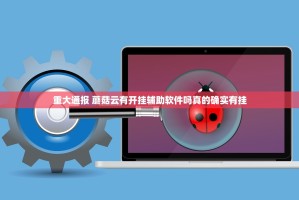 重大通报 蘑菇云有开挂辅助软件吗真的确实有挂