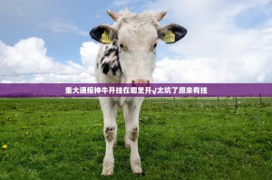 重磅.来袭榆林打锅子到底真的有挂吗2025(其实真的能开挂)