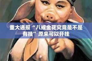 重大通报“八戒金花究竟是不是有挂”原来可以开挂