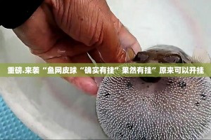重磅.来袭“鱼网皮球“确实有挂”果然有挂”原来可以开挂