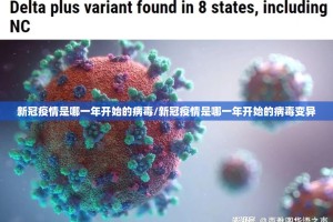 推荐一款悟空大厅果然有挂实测确实有挂