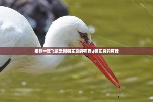 推荐一款飞禽走兽确实真的有挂√确实真的有挂