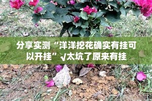 推荐一款葫芦娃三宝确实真的有挂!√确实真的有挂