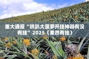 重大通报“拱趴大菠萝开挂神器有没有挂”2025（果然有挂）