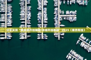 分享实测“新全游开挂辅助!详细开挂教程”2025（果然有挂）