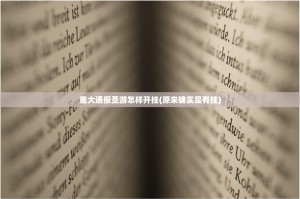 重大通报圣游怎样开挂(原来确实是有挂)