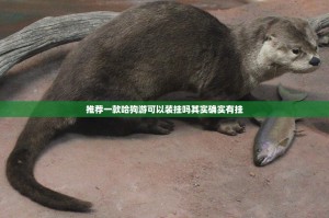 重磅.来袭德州牛仔开挂透视辅助软件原来真可以开挂