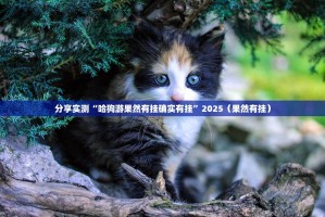 推荐一款“新玉海楼茶苑可以装挂吗”开挂神器
