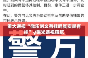 重大通报“微乐创幺有挂吗其实是有挂”√曝光透视猫腻