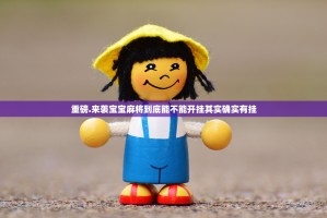 重磅.来袭宝宝麻将到底能不能开挂其实确实有挂