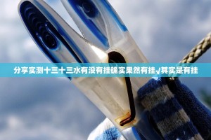 分享实测十三十三水有没有挂确实果然有挂√其实是有挂