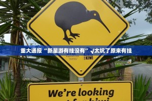 重大通报“新星游有挂没有”√太坑了原来有挂