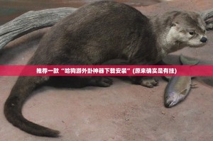 推荐一款中至赣牌圈包王有挂没有其实是有挂√曝光透视猫腻