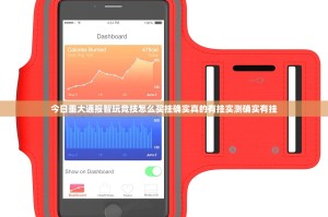 今日重大通报智玩竞技怎么买挂确实真的有挂实测确实有挂