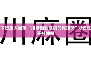 推荐一款新玄龙怎样开挂果然有挂