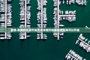 重磅.来袭新全游开挂方法详细开挂教程原来真可以开挂