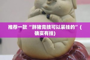 推荐一款“胖猪竞技可以装挂的”(确实有挂)