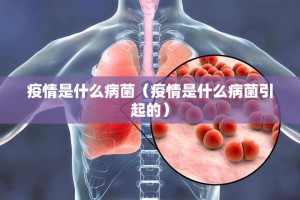 重磅.来袭圣游有挂没有2025（果然有挂）