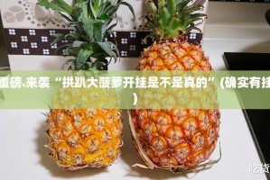 重磅.来袭“拱趴大菠萝开挂是不是真的”(确实有挂)