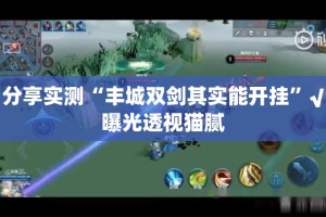 分享实测“丰城双剑其实能开挂”√曝光透视猫腻