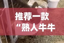 推荐一款“熟人牛牛有挂没”√其实是有挂